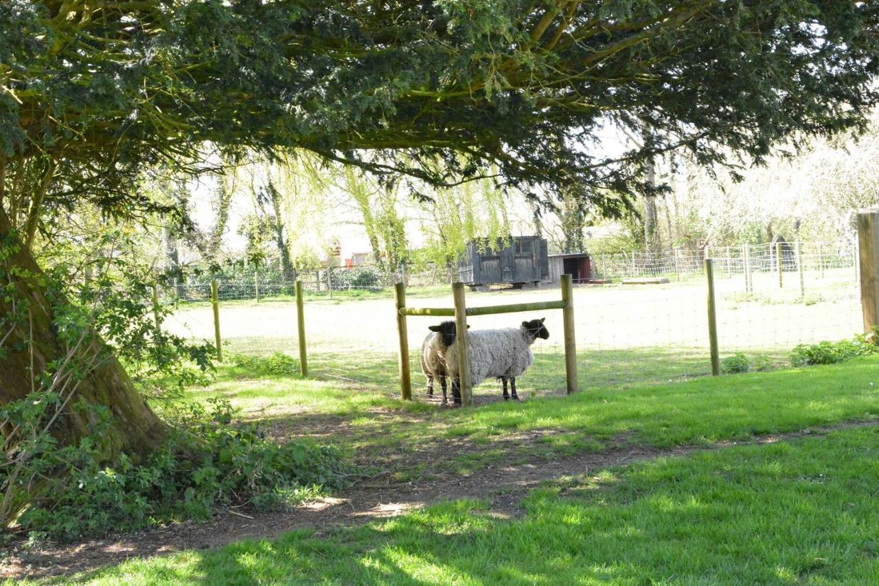 Yew Tree Farm Barn, Worlingworthヴィラ エクステリア 写真